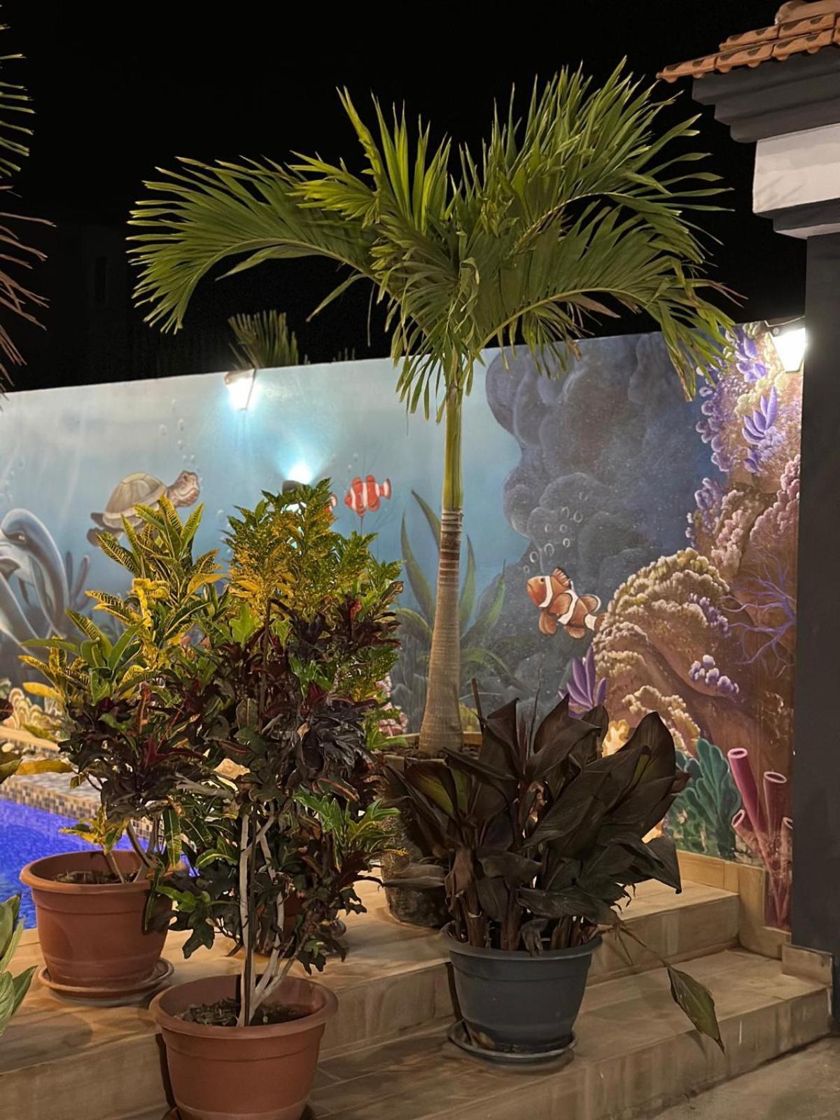 Villa Hawa, Decor Unique & Piscine Сомоне Екстериор снимка